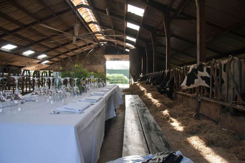 Catering Friesland
